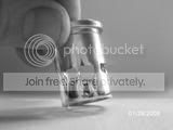 lrpbnlackandwhitepics008.jpg