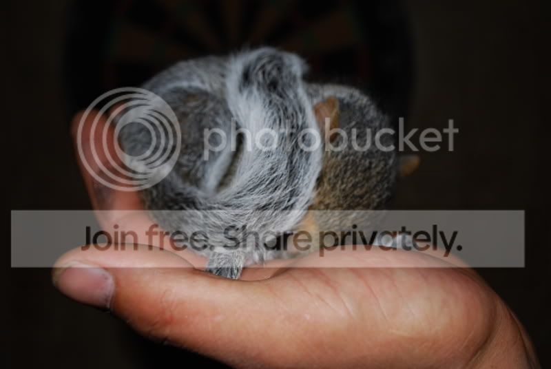 fuzzy005.jpg