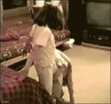 89s1y0j.gif