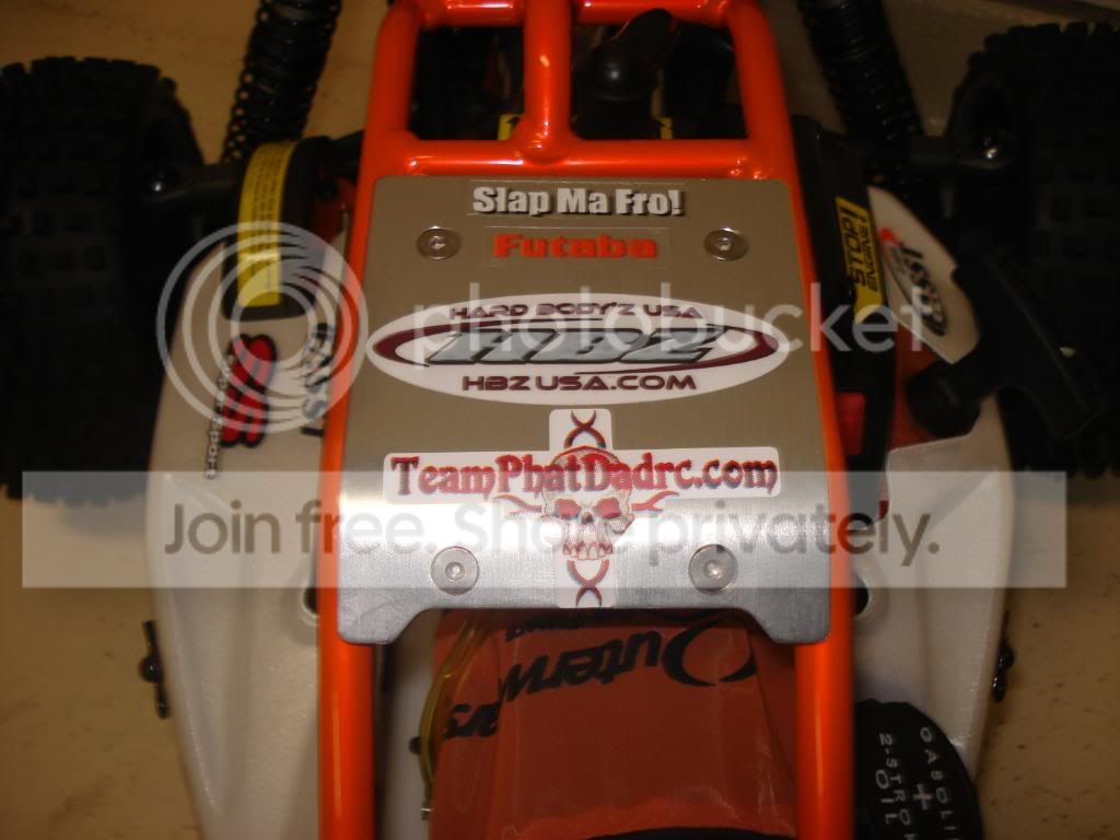bajasspaint052.jpg