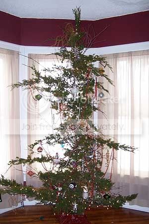 cheap-christmas-tree-2.jpg
