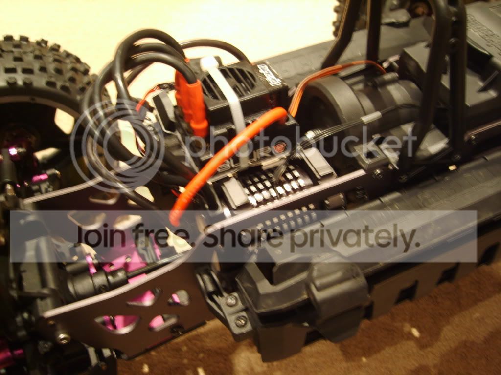 S8003235.jpg
