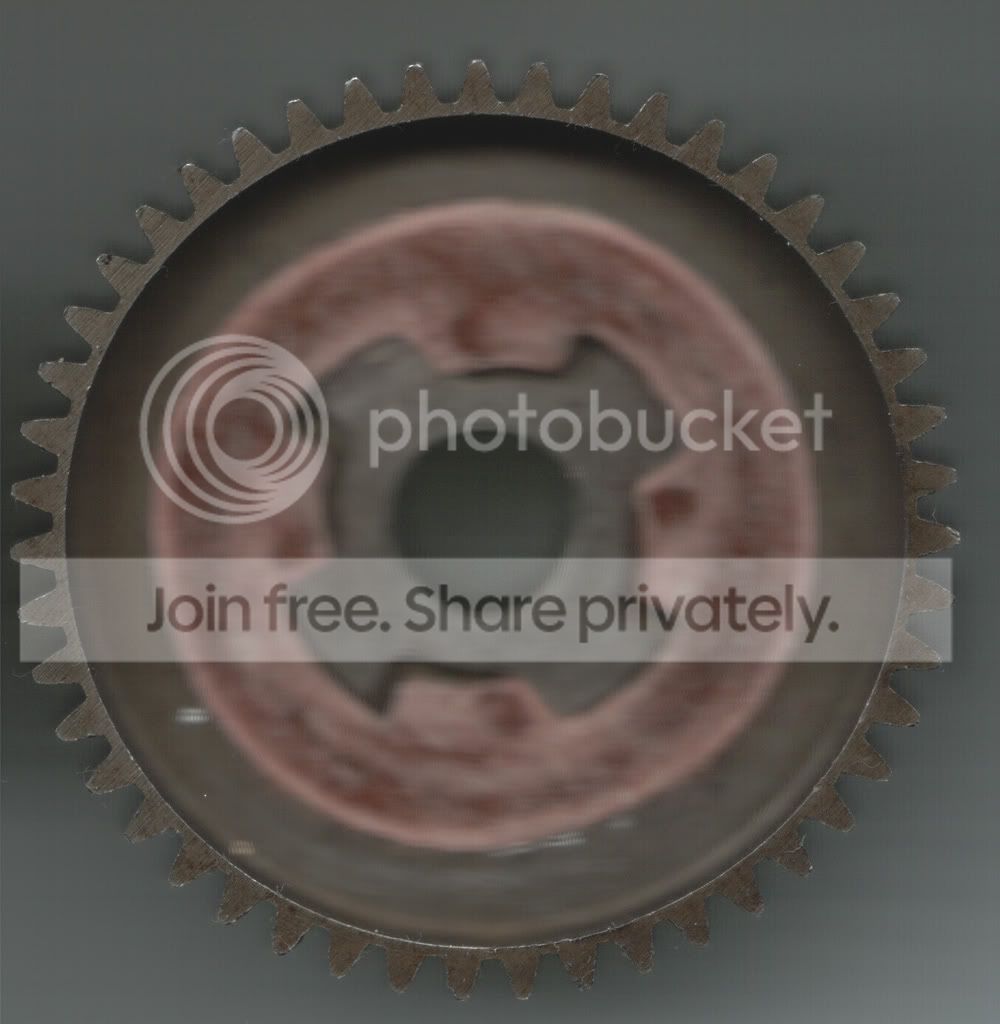 SavSpur.jpg