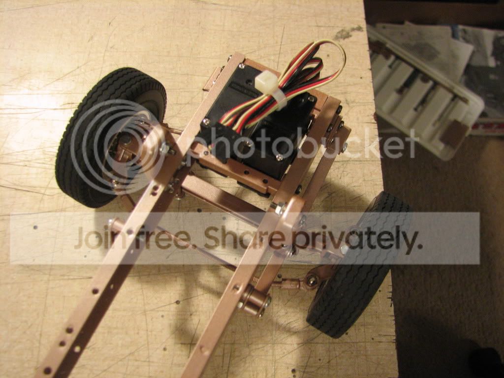 IMG_3981.jpg
