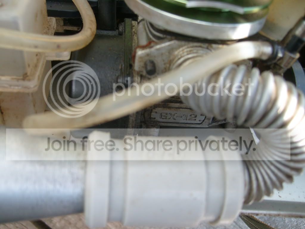 S7302235.jpg