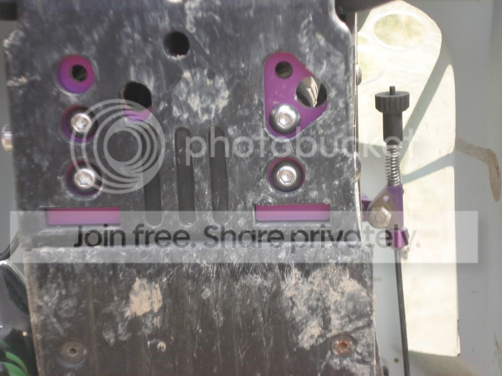 bashpics013.jpg