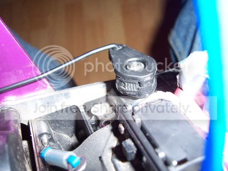 100_5972.jpg