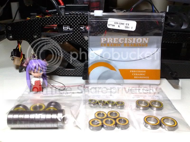 20100125-savageflux-ceramicbearings.jpg