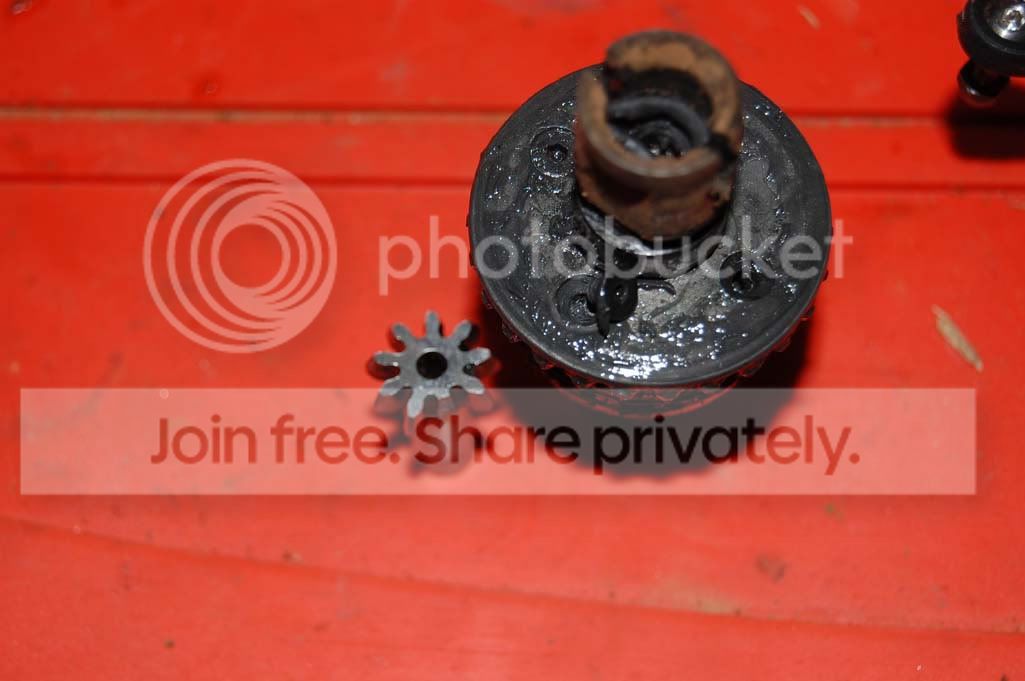 DSC_7285.jpg