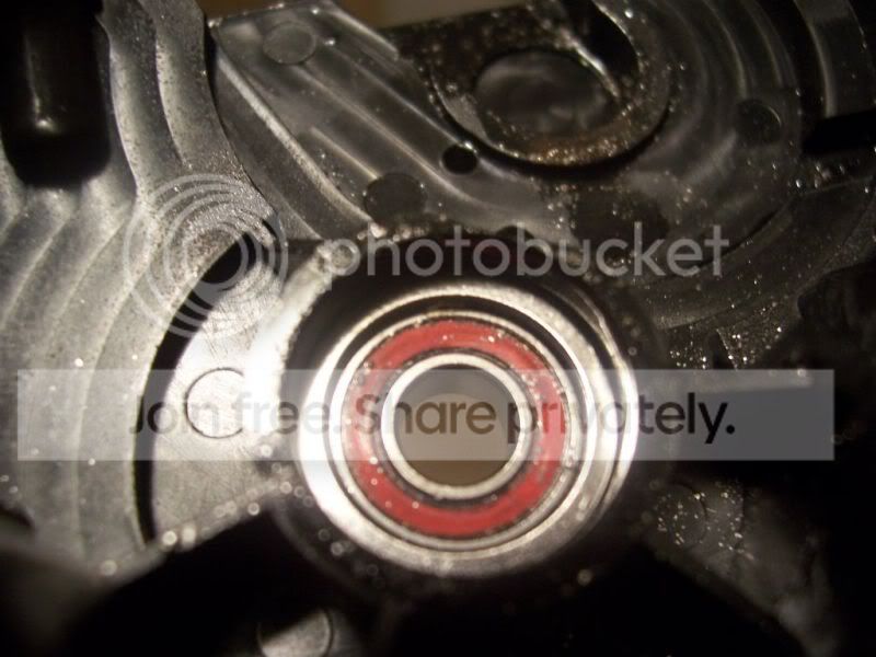 100_4005.jpg