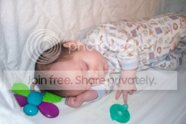 Picture046.jpg