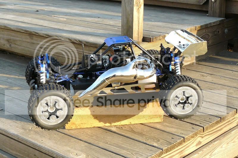 MotoCat5.jpg
