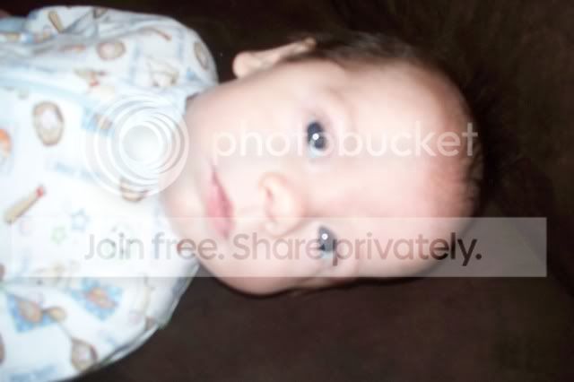 Picture045.jpg