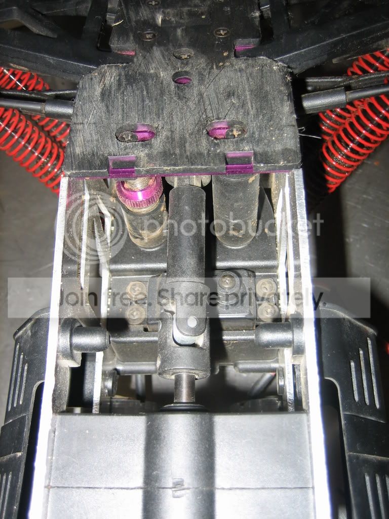 E-savage006.jpg
