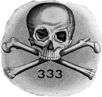Bones_333.jpg