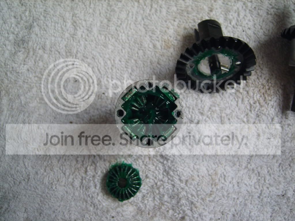 S8003283.jpg