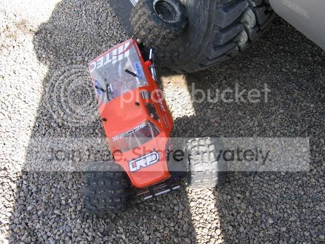 TheCrawler005.jpg