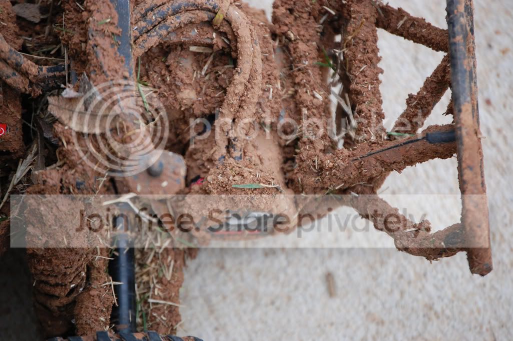 DSC_4181.jpg