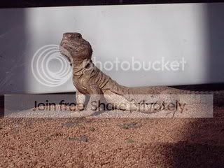 Picture014.jpg