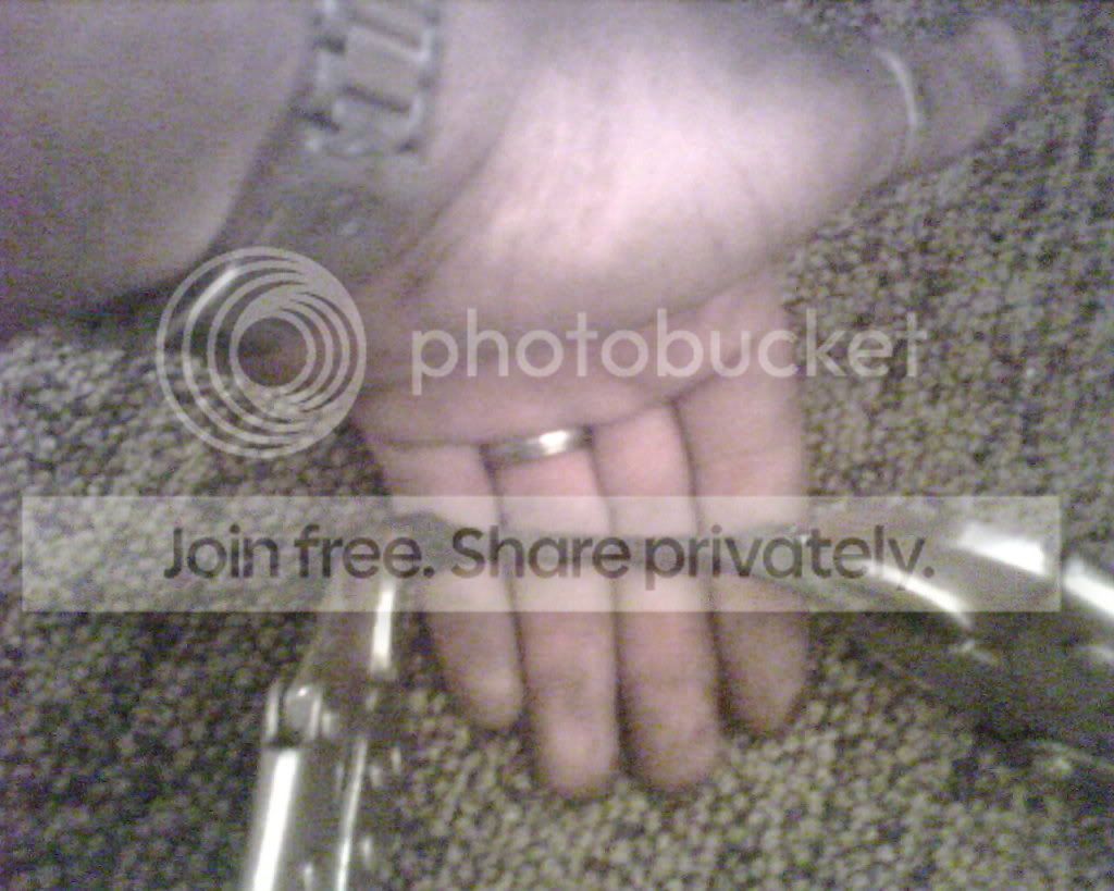 IMG00527.jpg