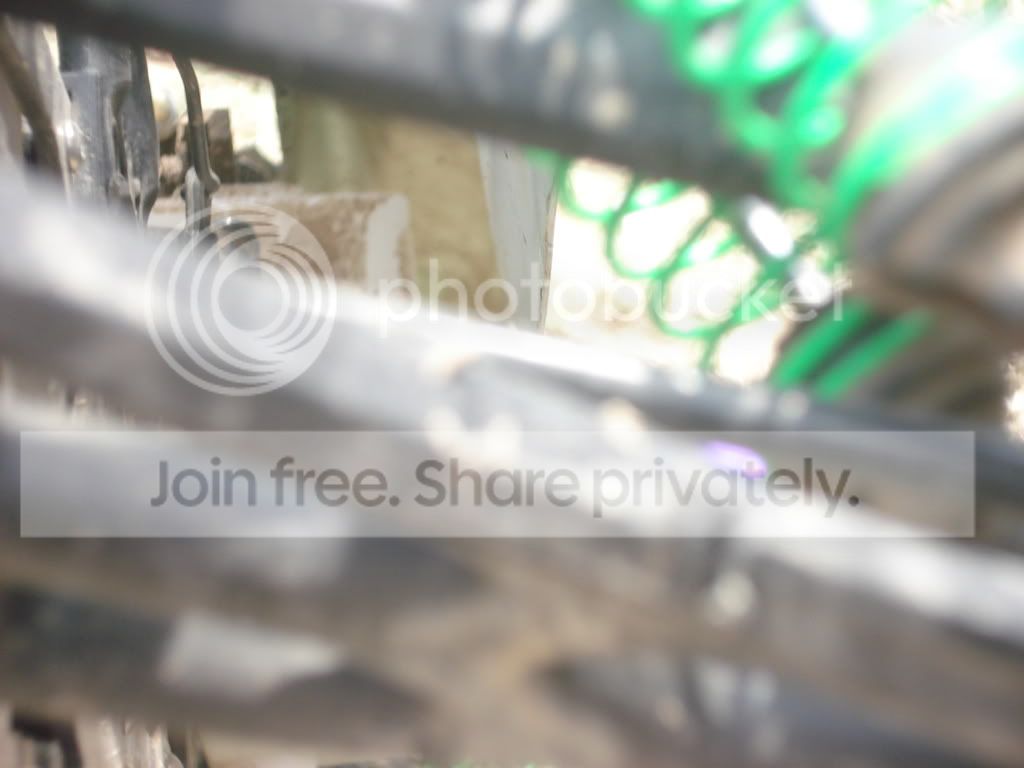bashpics011.jpg