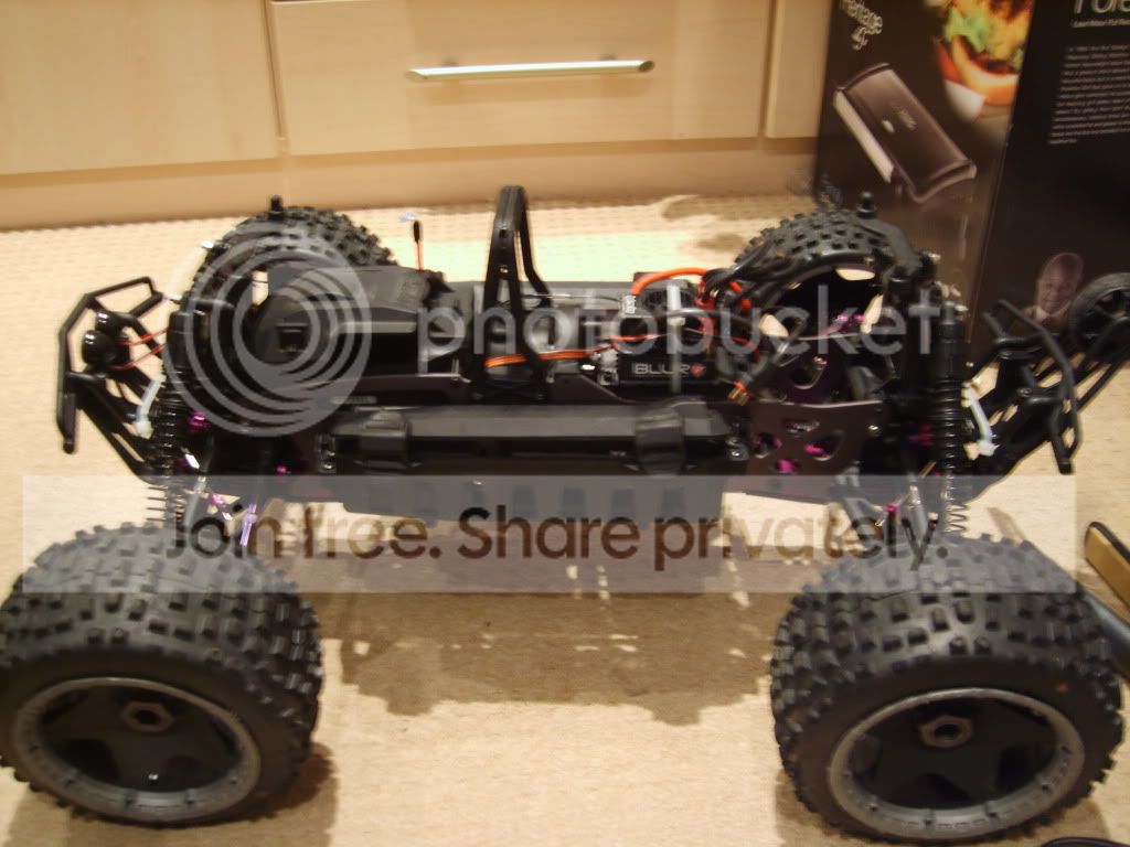 S8003232.jpg