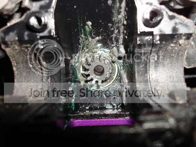 DSC02664.jpg