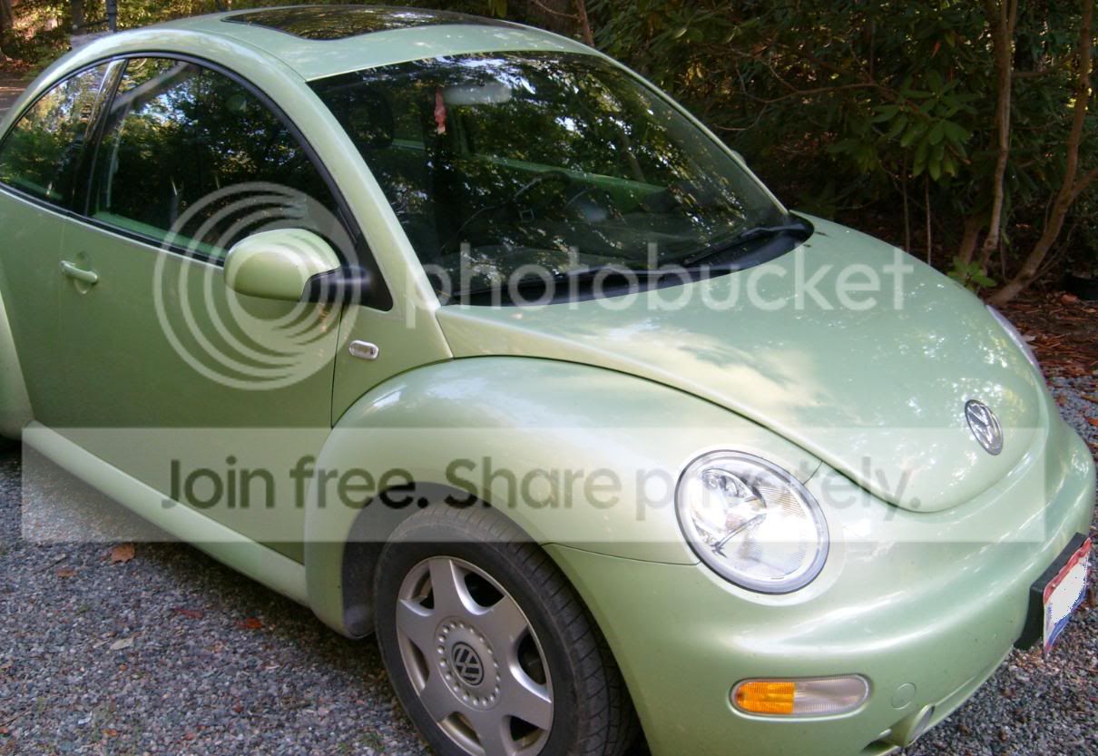 TheBeetle.jpg