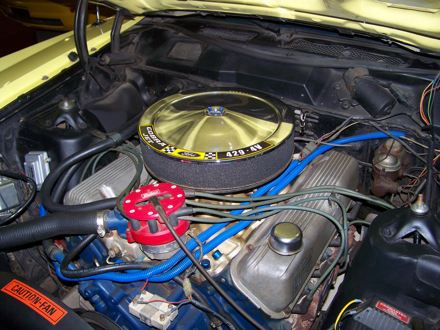 Ford_429_CJ_by_DetroitDemigod.jpg