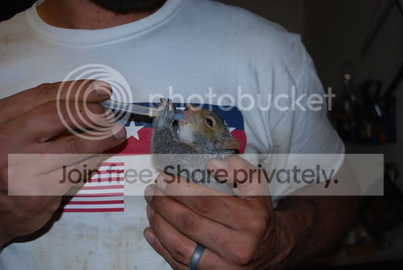 thenewcritter005.jpg