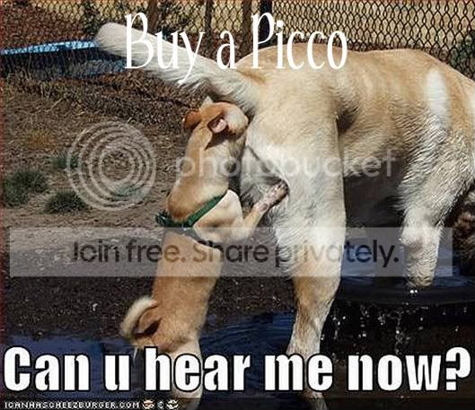 picco.jpg