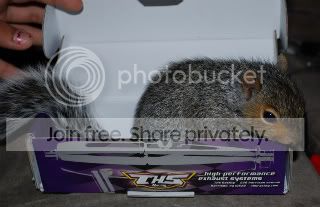 DSC_0035-1_edited-1-1-1.jpg