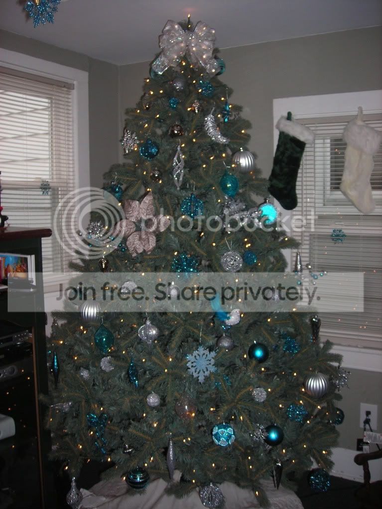 DSCN1228.jpg