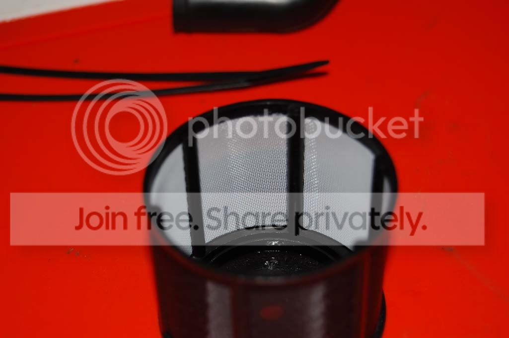 DSC_6269.jpg