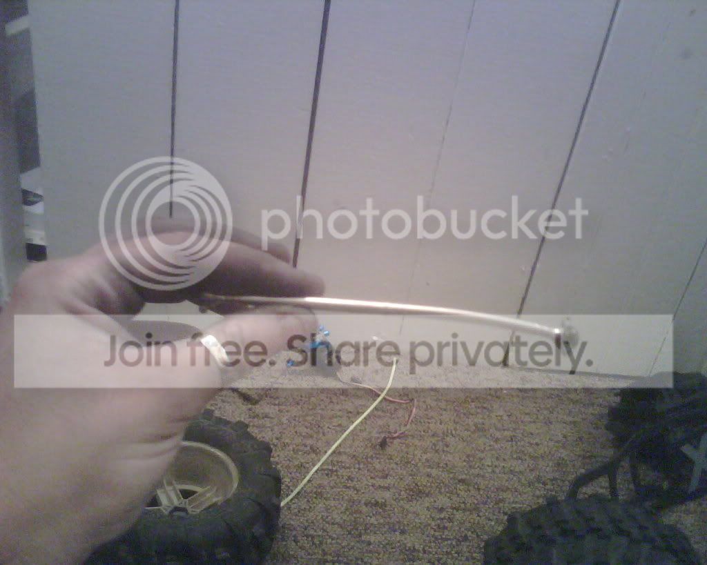 IMG00558.jpg