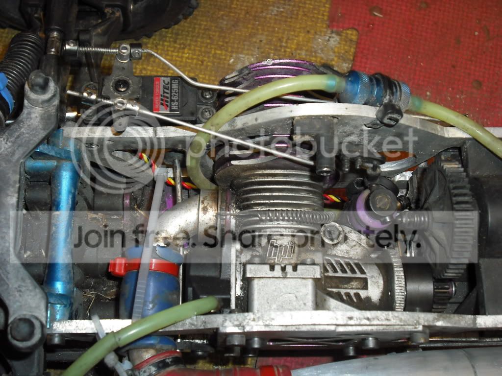 sidewinderback007.jpg
