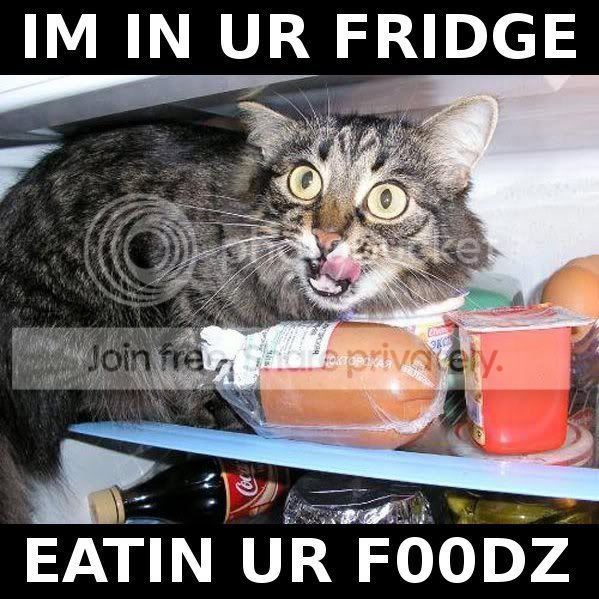 fridge.jpg