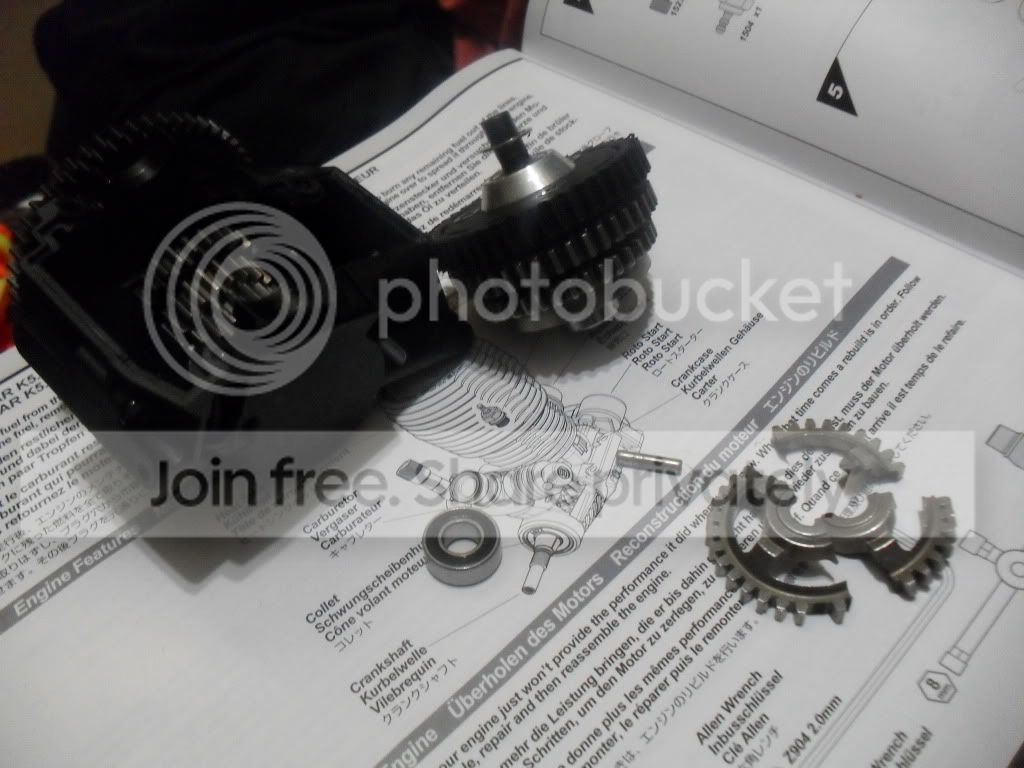 SDC10187.jpg