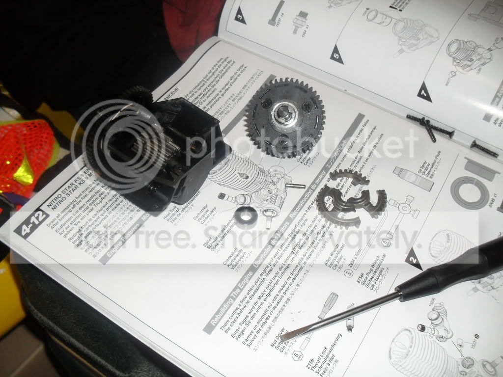 SDC10181.jpg