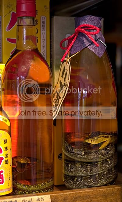 41723669snakesake.jpg