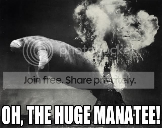 humanity.jpg