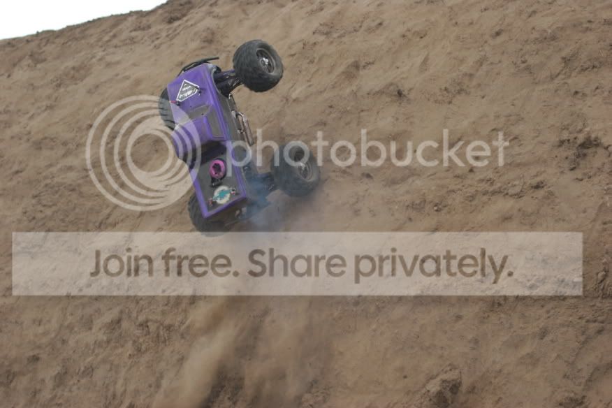 piccies100.jpg