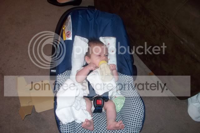 Picture059.jpg