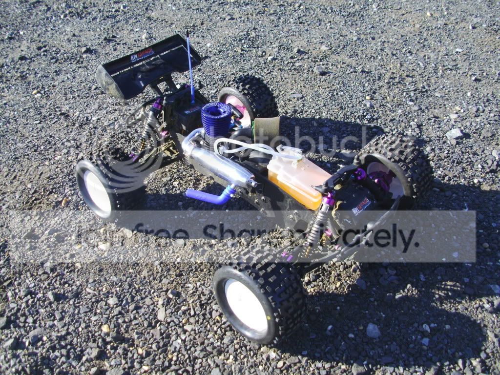 PICT0131.jpg