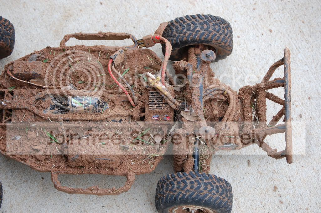 DSC_4182.jpg
