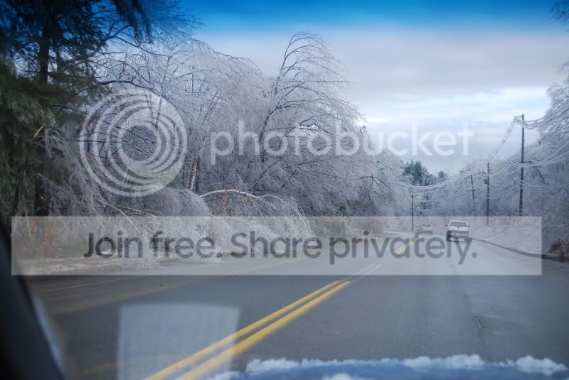 DSC_0033.jpg
