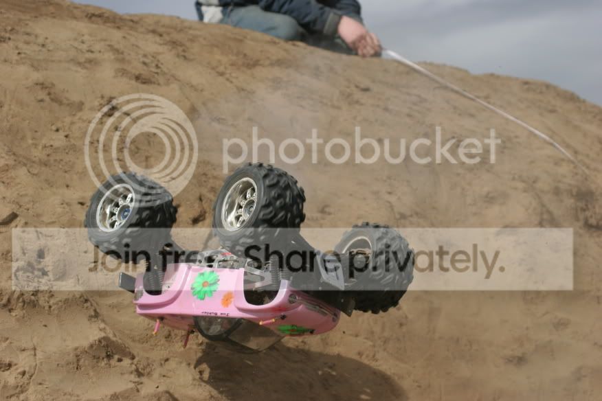 piccies150.jpg