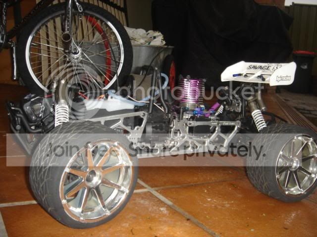 DSC01775.jpg