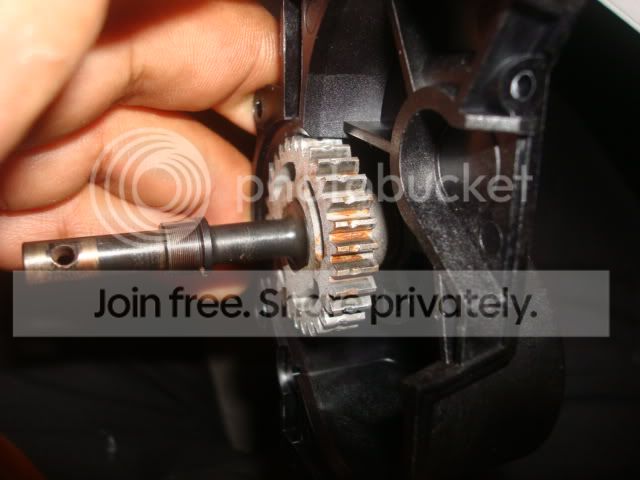 ff824a52.jpg