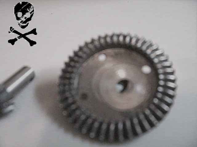 100_15451.gif